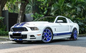 Shelby GT500 by Permaisuri on Forgiato Wheels (Turni-ECL) '2017